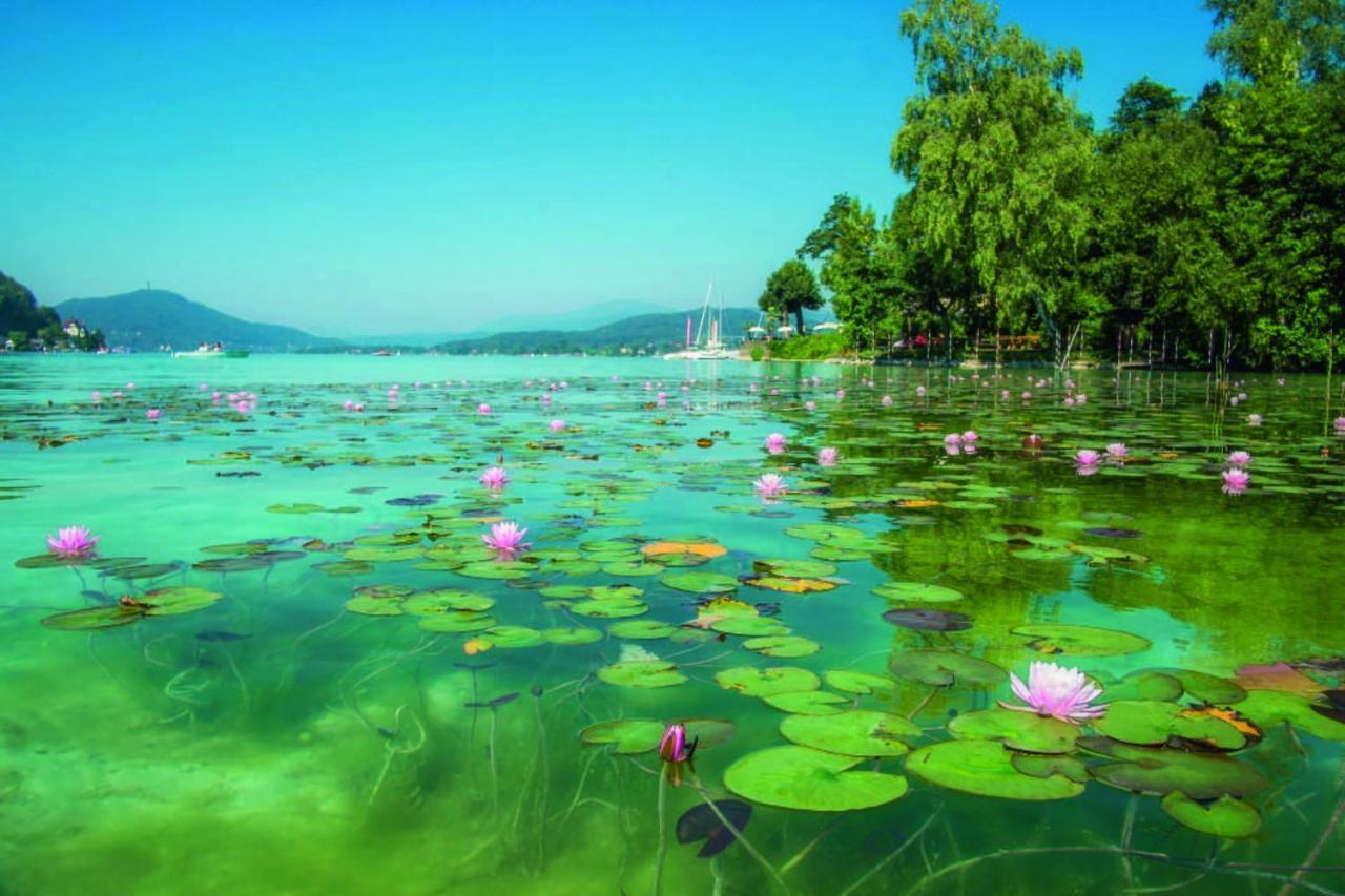 Studios Klagenfurt Klagenfurt am Wörthersee Extérieur photo